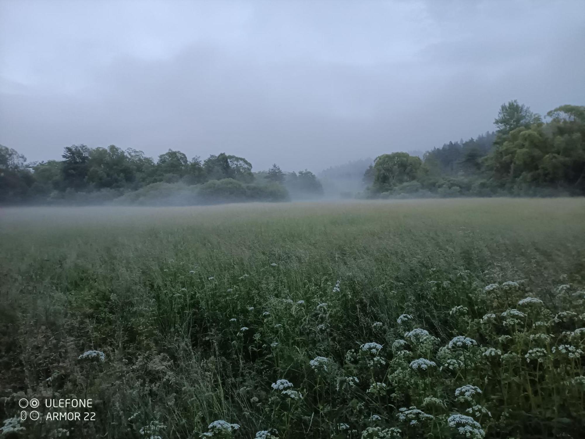 Vila Podlesok 697 Hrabušice Exteriér fotografie