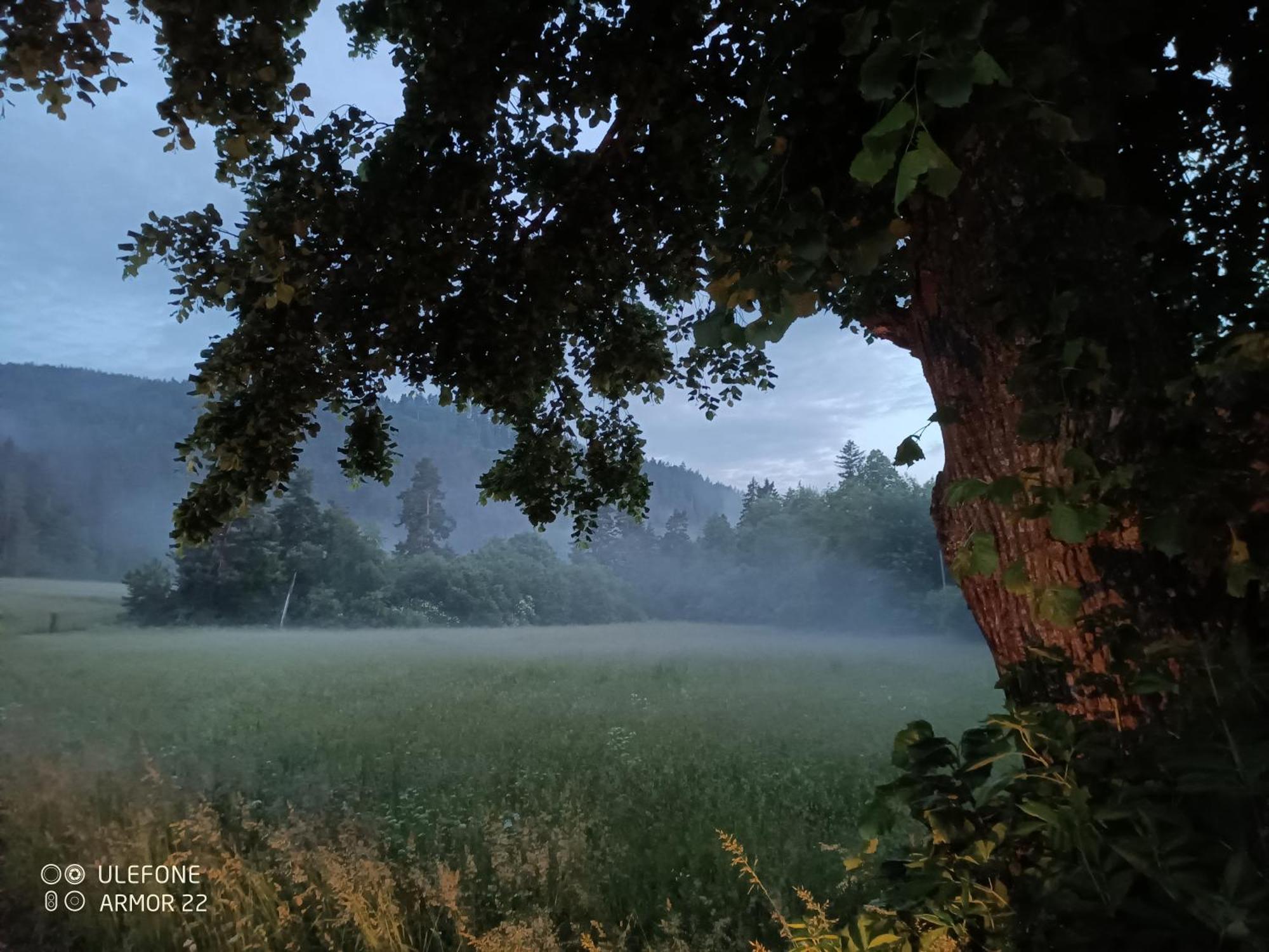 Vila Podlesok 697 Hrabušice Exteriér fotografie
